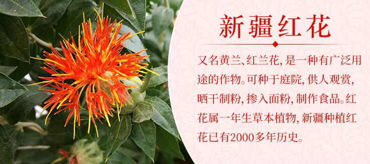 新疆特產紅花