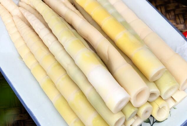 食用竹筍